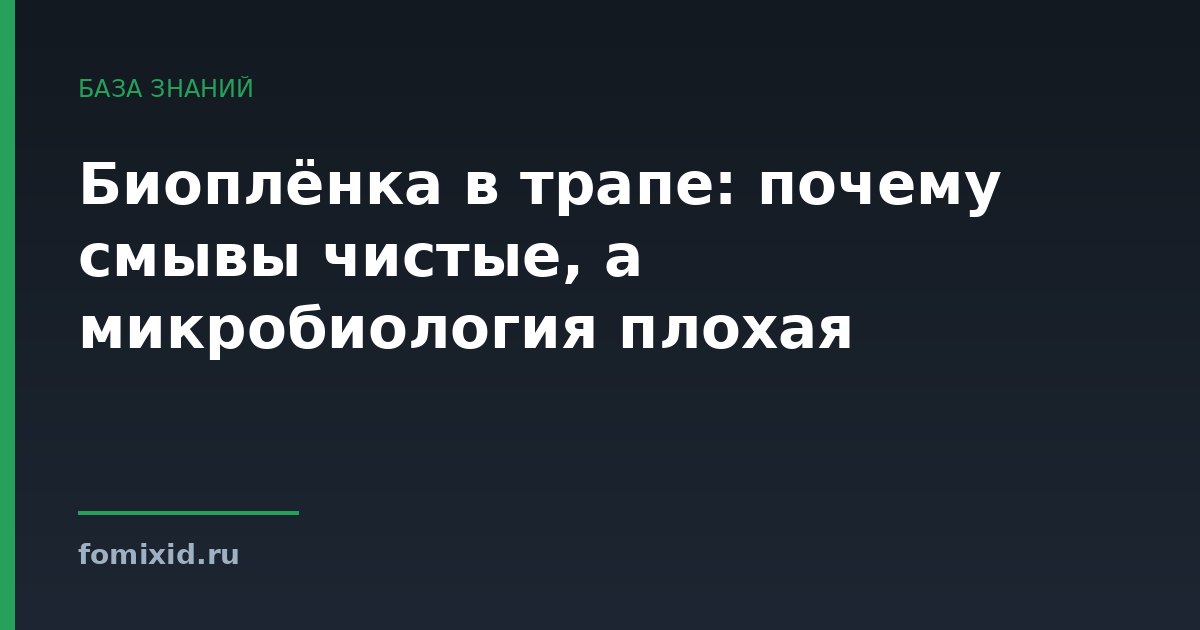 Биоплёнка в трапе: почему смывы чистые, а микробиология плохая