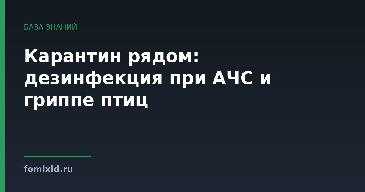 Карантин рядом: дезинфекция при АЧС и гриппе птиц