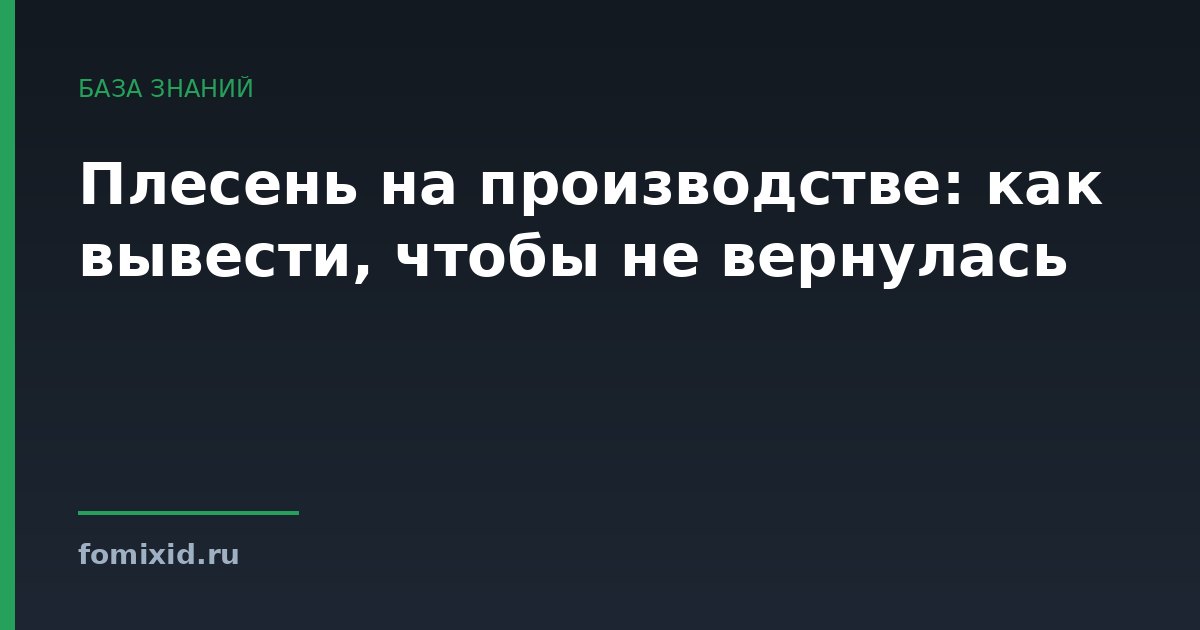 Плесень на производстве: как вывести, чтобы не вернулась