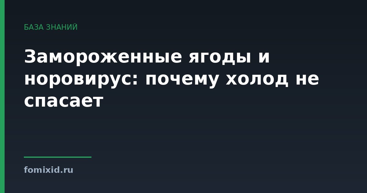 Замороженные ягоды и норовирус: почему холод не спасает